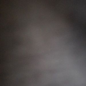 Meet your Posher, Darius